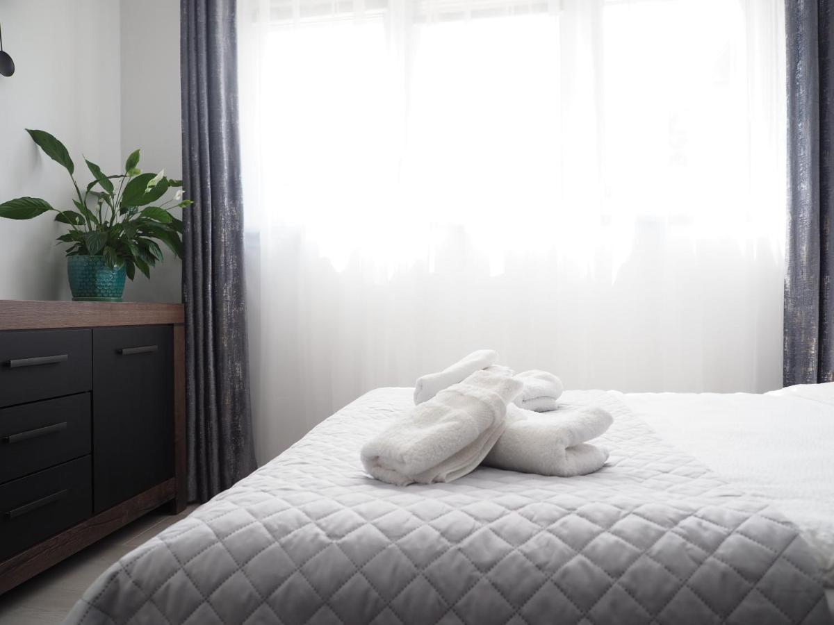 Adobe Apartment - Przytulny I Free Parking 弗罗茨瓦夫 外观 照片